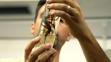 Danilo Harms, Spinnenforscher, mit einem Spinnenpräparat in einem Glas. 