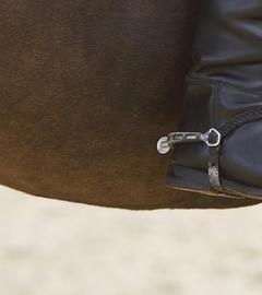 Sporn an einem Reiststiefel und Steigbügel