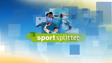 Sport-Splitter