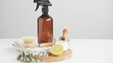 Eine Sprühflasche - davor eine Bürste, Zitrone und Pulver in einem Glasschälchen