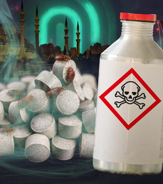 Tabletten mit Insektenbefall, Giftflasche mit Gefahrensymbol und grünlicher Gasnebel vor Stadtkulisse mit Moschee und türkischer Flagge