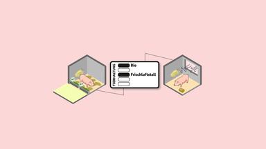Das staatliche Tierhaltungskennzeichen ist ab 2025 verpflichtend auf Schweinefleisch zu sehen: Je nach Stufe steht den Schweinen unterschiedlich viel Platz, Beschäftigungsmaterial und Auslauf zur Verfügung.