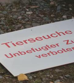 Ein Warnschild weist auf eine Tierseuche hin