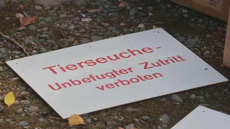 Ein Warnschild weist auf eine Tierseuche hin