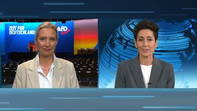 Schaltgespräch Dunya Hayali Alice Weidel