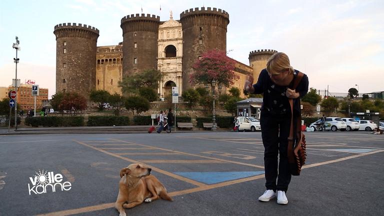 Städtetrip nach Belfast