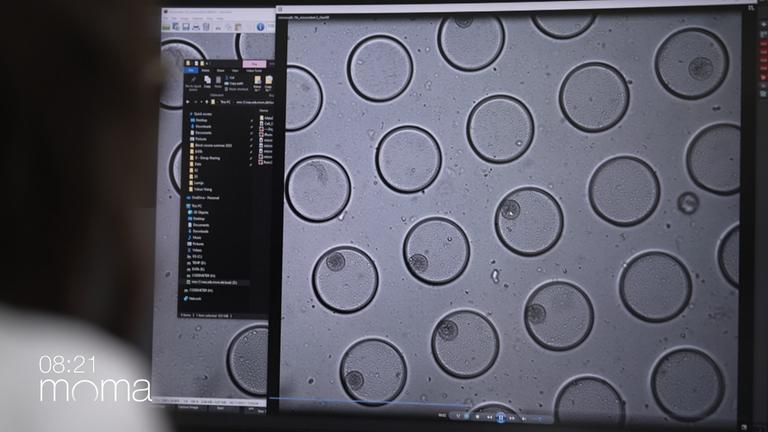 moma future: Nanoroboter trainieren Stammzellen