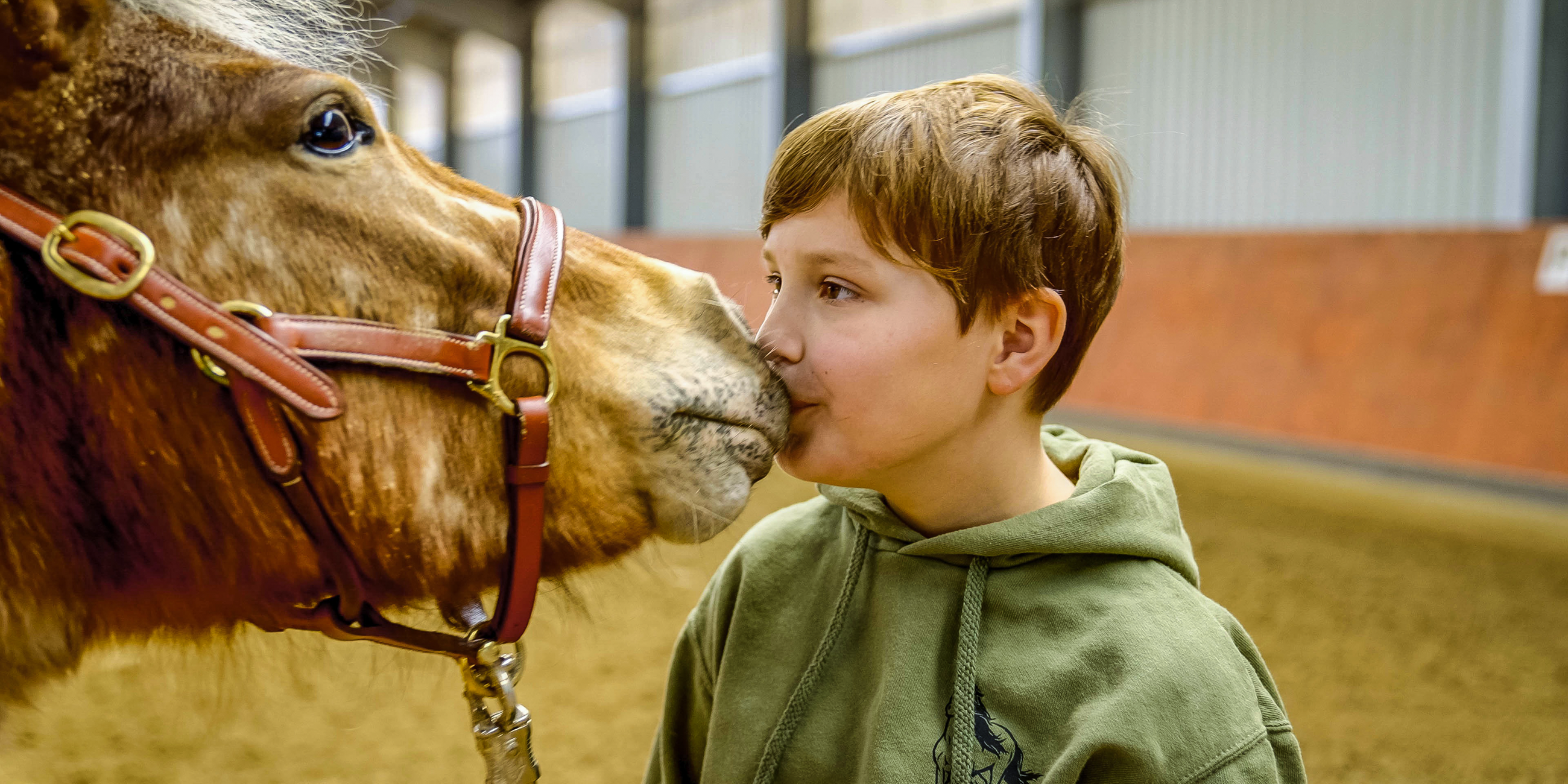 stark! - Bühne L - Bruno - Pferde