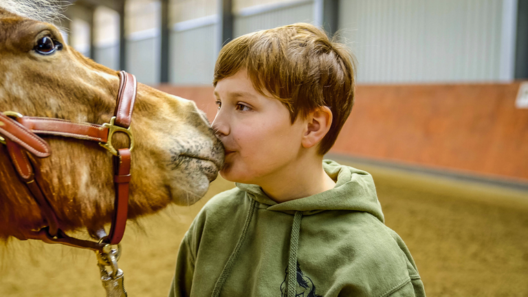 stark! - Bühne L - Bruno - Pferde