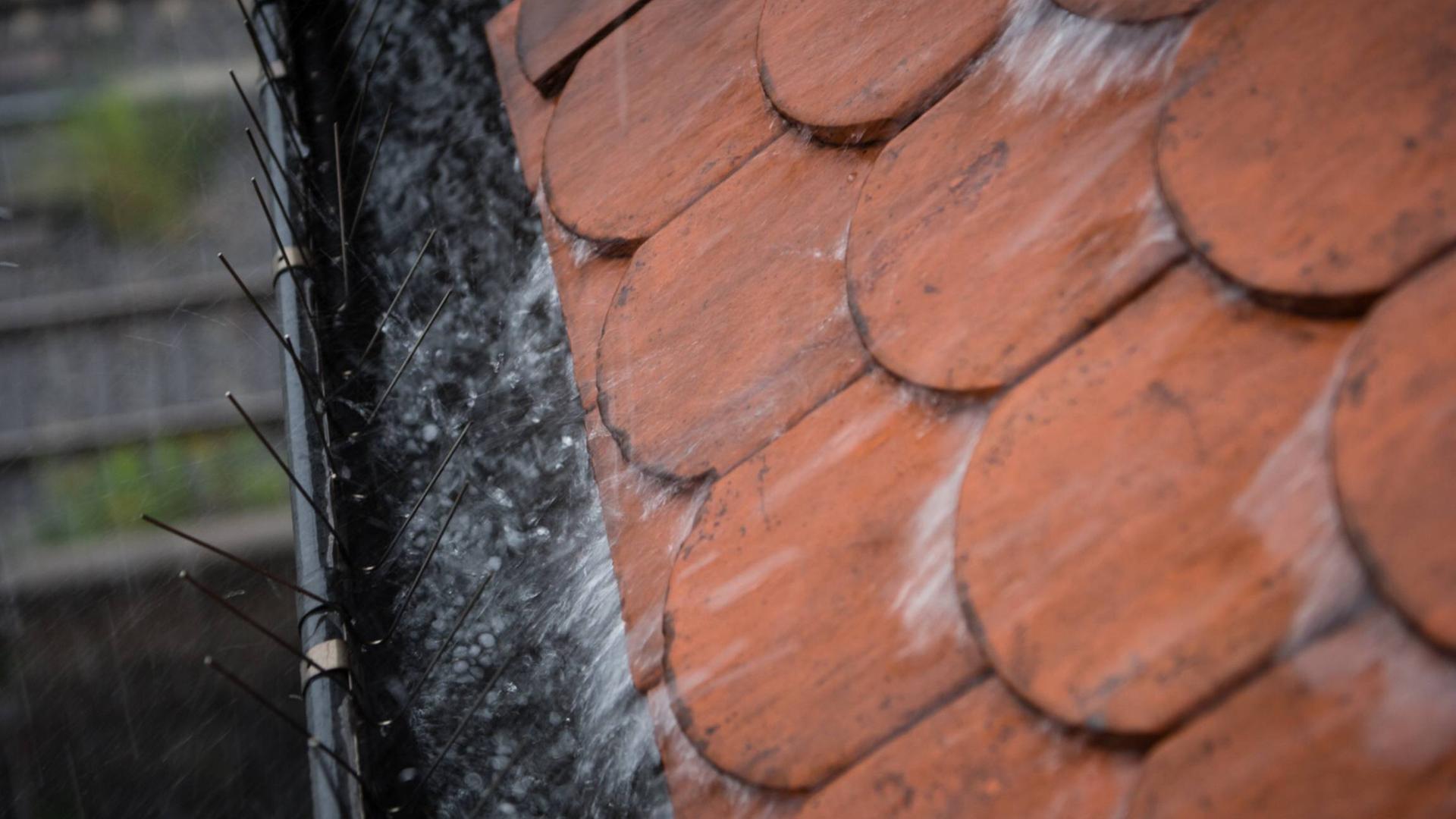 Regen läuft von den Dachziegeln in die Regenrinne