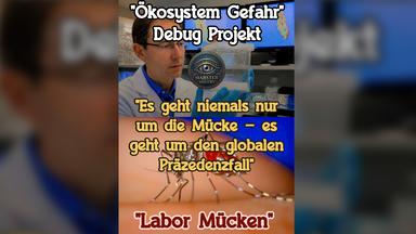 Screenshot: Facebook-Post zu Stechmücken vom 01.06.2026