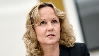 Steffi Lemke
