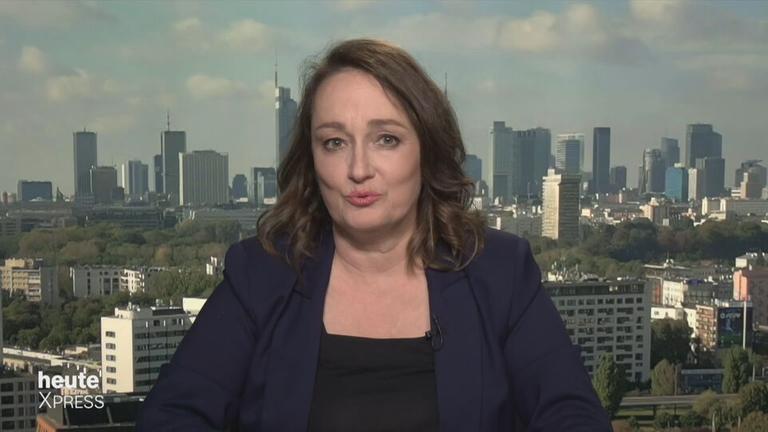 Steger über Nord Stream