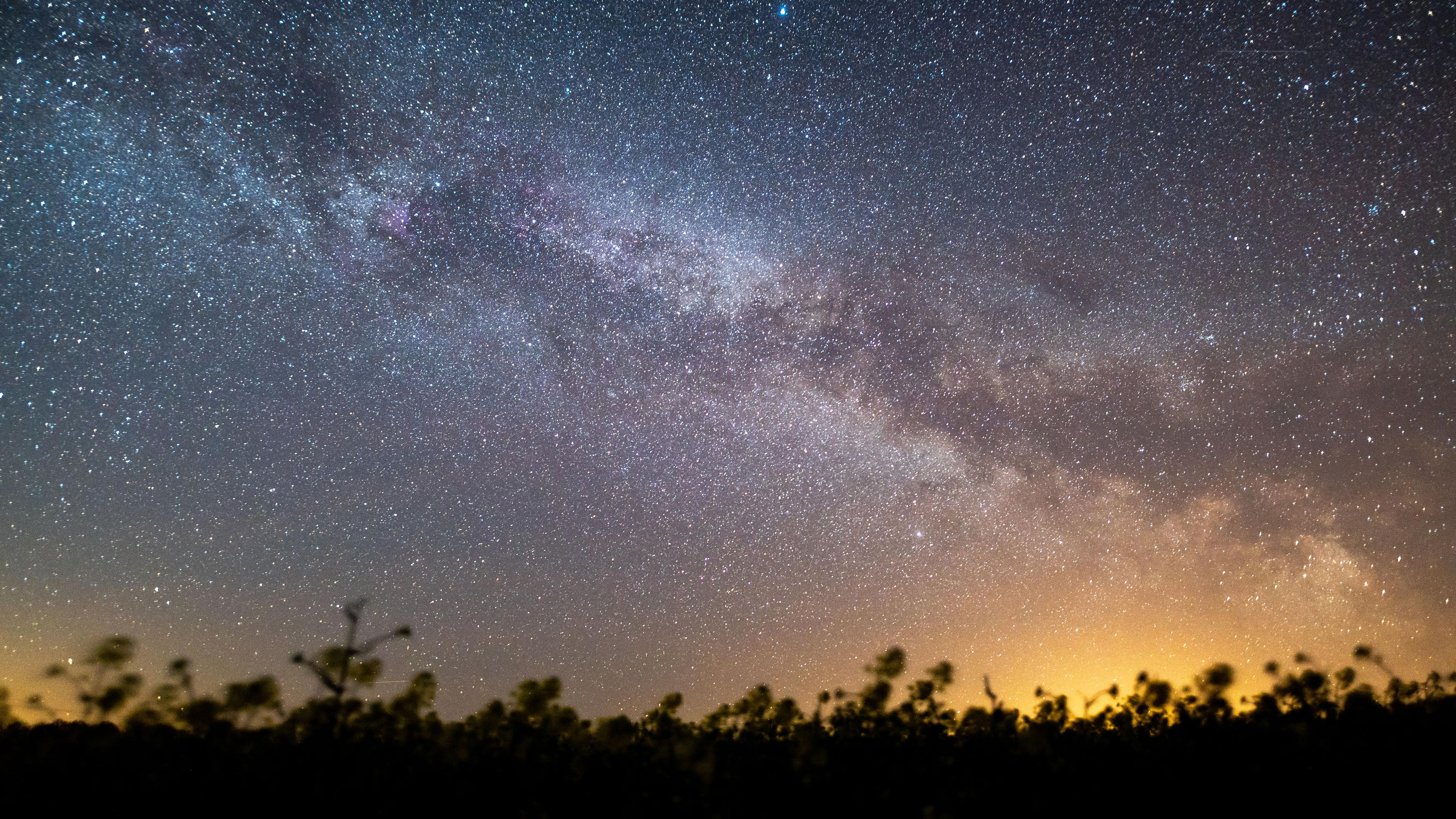 Der Sternenhimmel leuchtet über einem Rapsfeld.