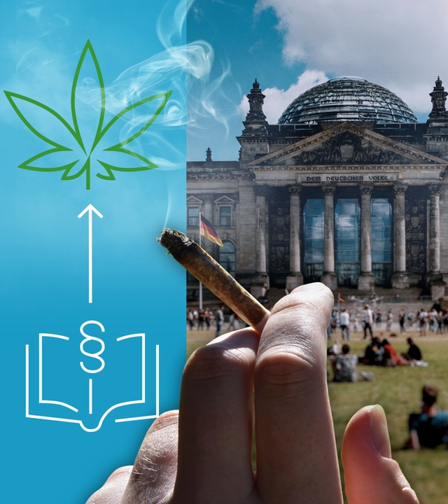 Das Foto zeigt den deutschen Bundestag von außen, auf der Wiese sitzen viele Menschen. Daneben sieht man ein Gesetzbuch und ein Cannabisblatt. Eine Hand hält einen rauchenden Joint. Durch Klicken startet das Video zum neuen Cannabisgesetz.