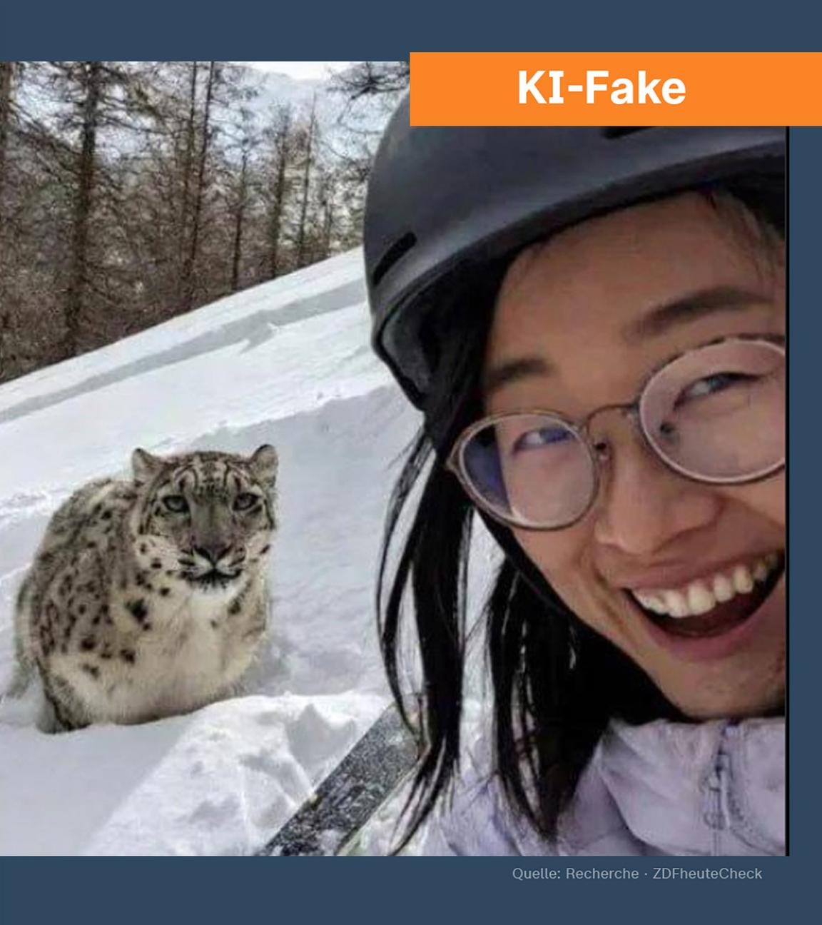Angriff eines Schneeleoparden in China: Original und KI-Fake