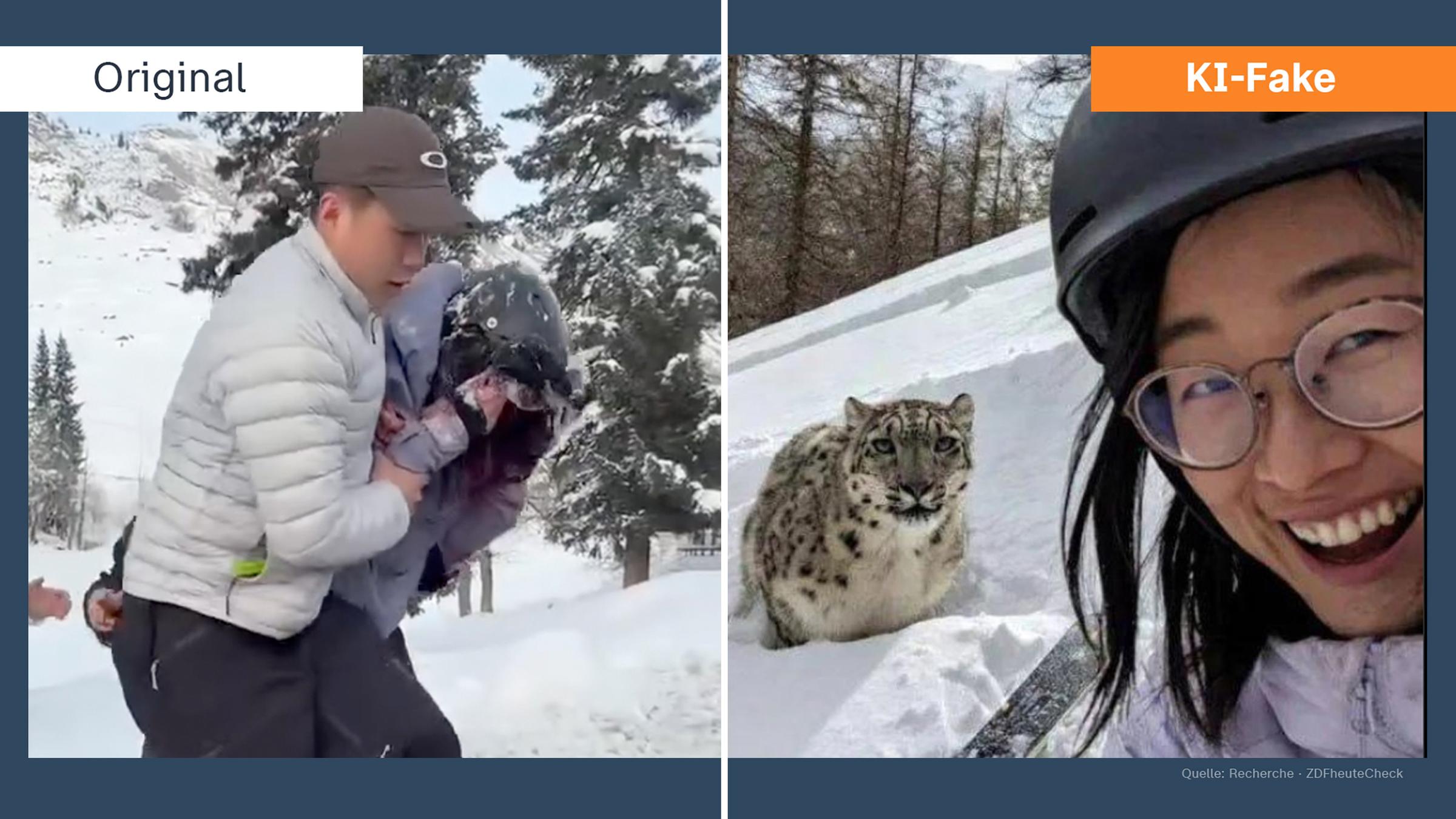 Angriff eines Schneeleoparden in China: Original und KI-Fake