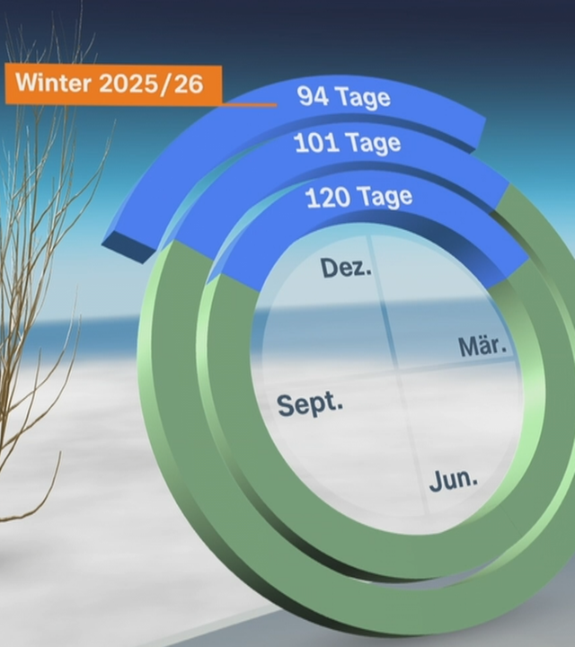 3D-Grafik; 3D-Studio; Katja Horneffer; Phänologische Uhr; Winter; Haselstrauch