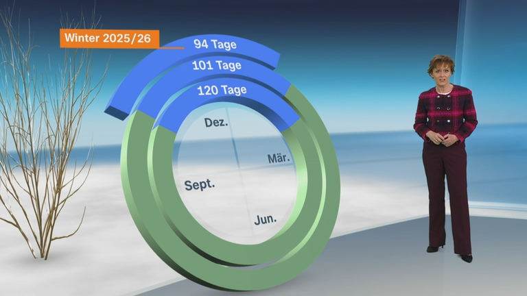 3D-Grafik; 3D-Studio; Katja Horneffer; Phänologische Uhr; Winter; Haselstrauch