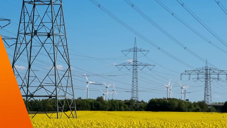Stromnetzwerk bei einem Rapsfeld