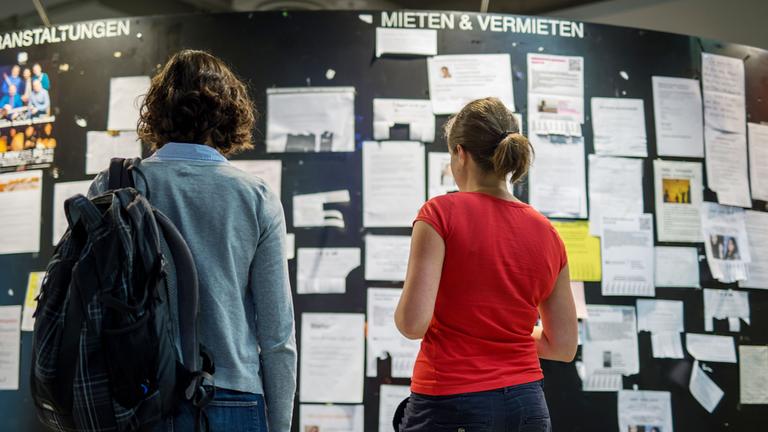 Zwei Studentinnen betrachten die Wohnungsanzeigen am Schwarzen Brett in der Mensa 