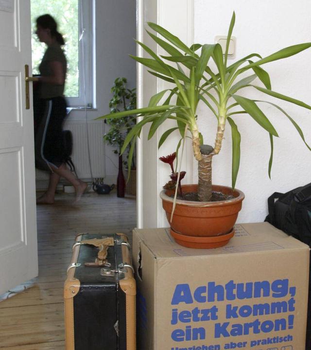 Eine Studentin ist in ihrer Wohnung neben Umzugskisten und einer Zimmerpflanze zu sehen. (Archiv)