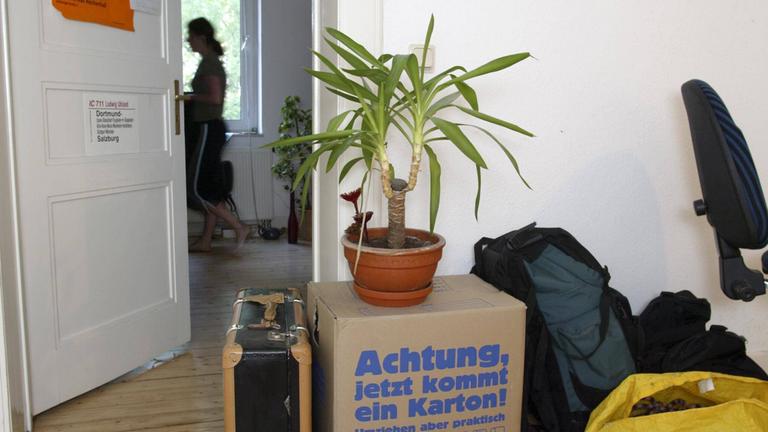 Eine Studentin ist in ihrer Wohnung neben Umzugskisten und einer Zimmerpflanze zu sehen. (Archiv)