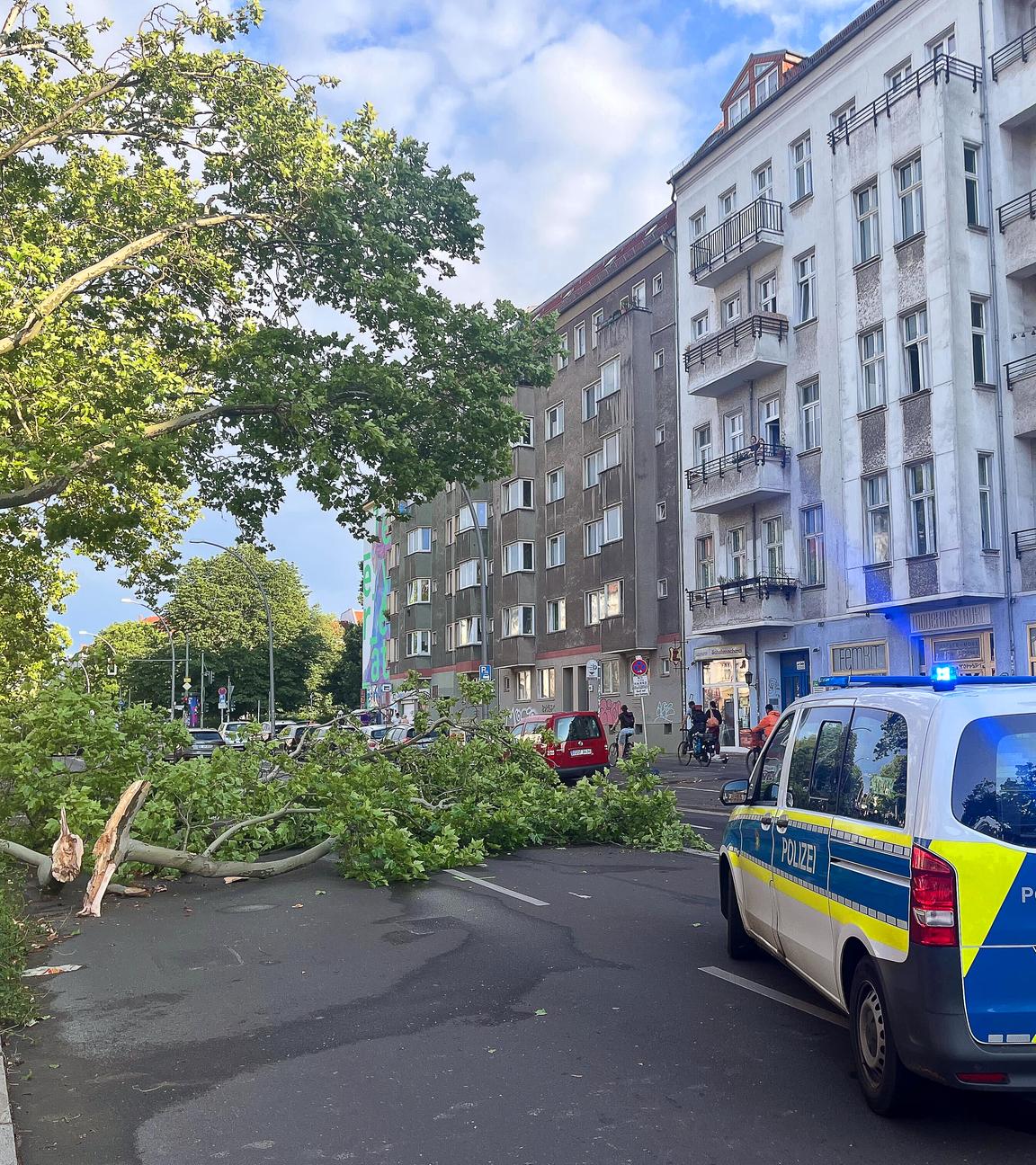 Abgebrochene Äste liegen nach einem Sturm auf einer Straße in Berlin-Prenzlauer Berg.