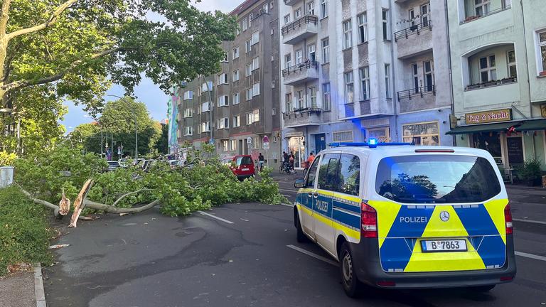 Abgebrochene Äste liegen nach einem Sturm auf einer Straße in Berlin-Prenzlauer Berg.