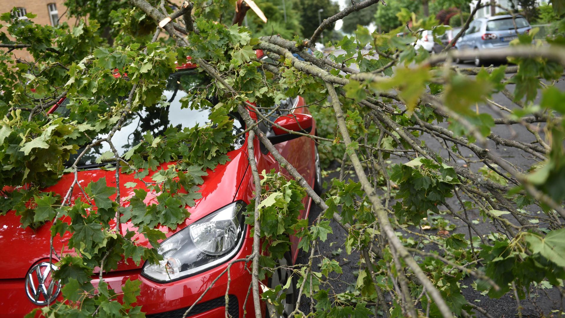 Ein Auto steht unter einem herabgestürzten Ast