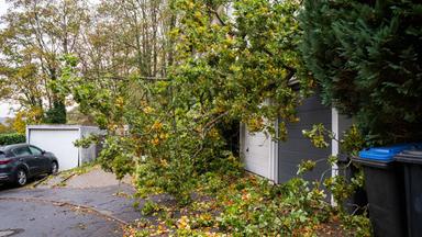 Ein durch Sturm entwurzelter Baum beschädigt Häuser in Rheinland-Pfalz in der Nacht zum 24.10.2026.