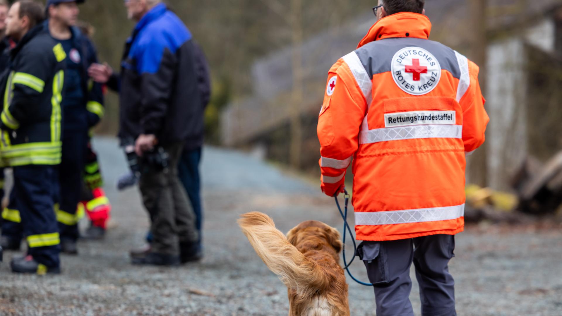 Ein Mitglied einer Rettungshundestaffel geht bei der Suche nach einem vermissten Jungen mit seinem Hund auf einem Weg an einem Waldstück entlang. 