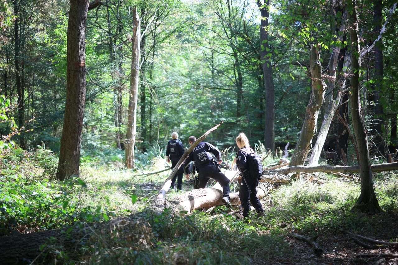 Polizeikräfte durchsuchen ein Waldstück bei einem Großeinsatz am Hambacher Forst. 