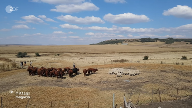suedafrika-farmer