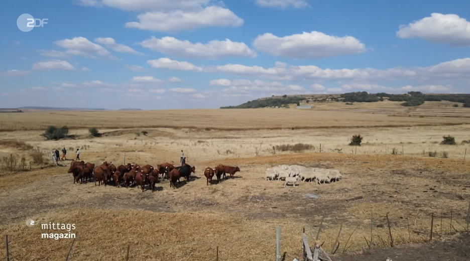 suedafrika-farmer