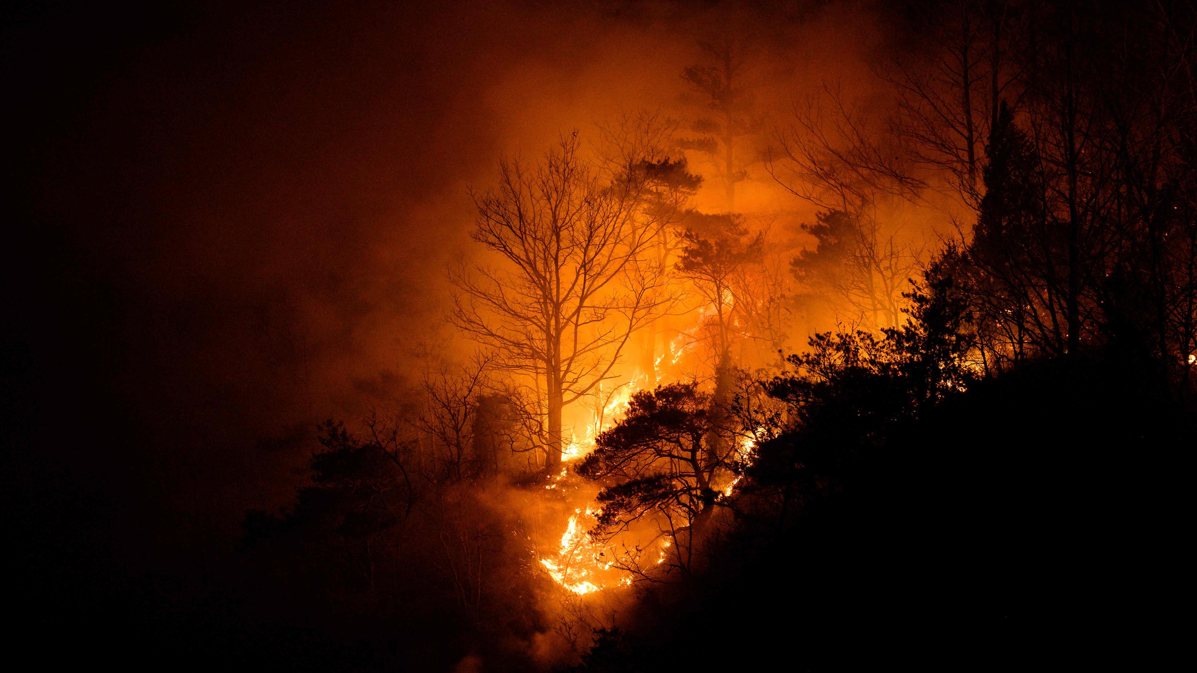 27.03.2025: Rauchschwaden von einem Waldbrand in Cheongsong