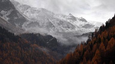  Italien, Bozen: Mit Schnee bedeckt sind die Berge des Ortler Gebirges. Nach dem Lawinenunglück in Südtirol sind auch die Leichen der beiden zuletzt noch vermissten Deutschen gefunden worden. Damit steht fest, dass bei dem Unglück am Vortag insgesamt fünf Bergsteiger ums Leben kamen.