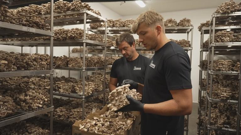 Südtirol: Zurück zur Natur