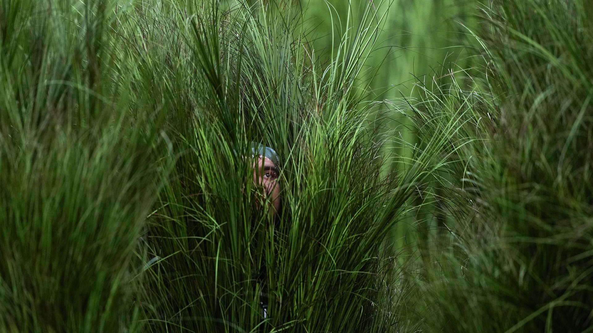 Lady Gaga tritt in der Halbzeitpause des NFL Super Bowl 60 am 08.02.2026, in Santa Clara, Kalifornien, auf.