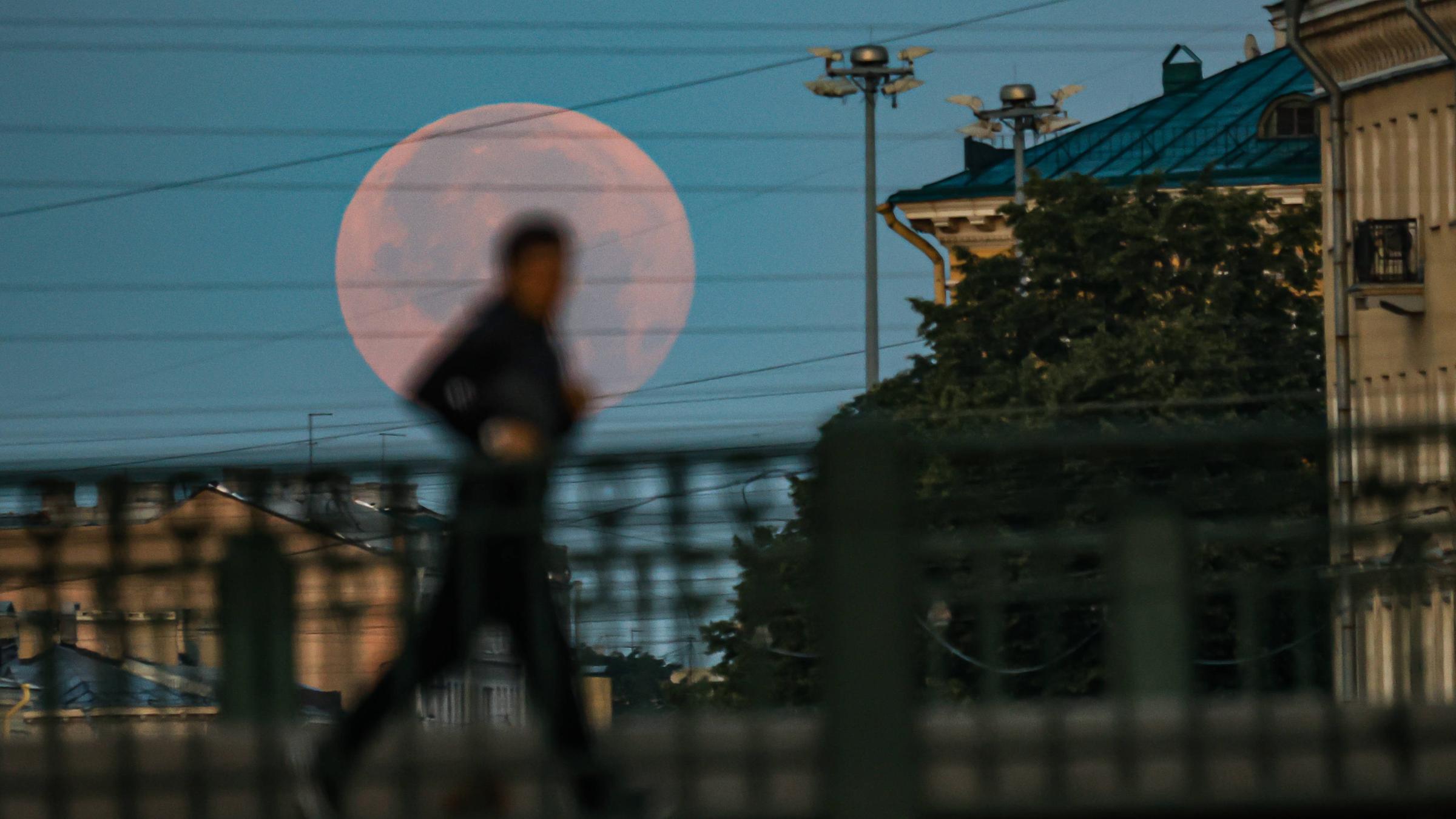 Supermond in St. Petersburg am 20.08.2024.