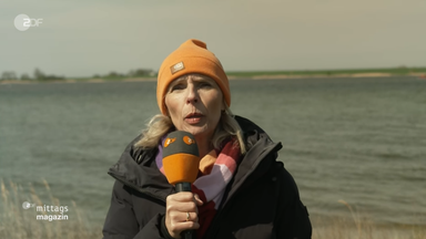 susanne-seidel