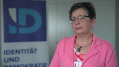 Sylvia Limmer, AfD-Europaabgeordnete