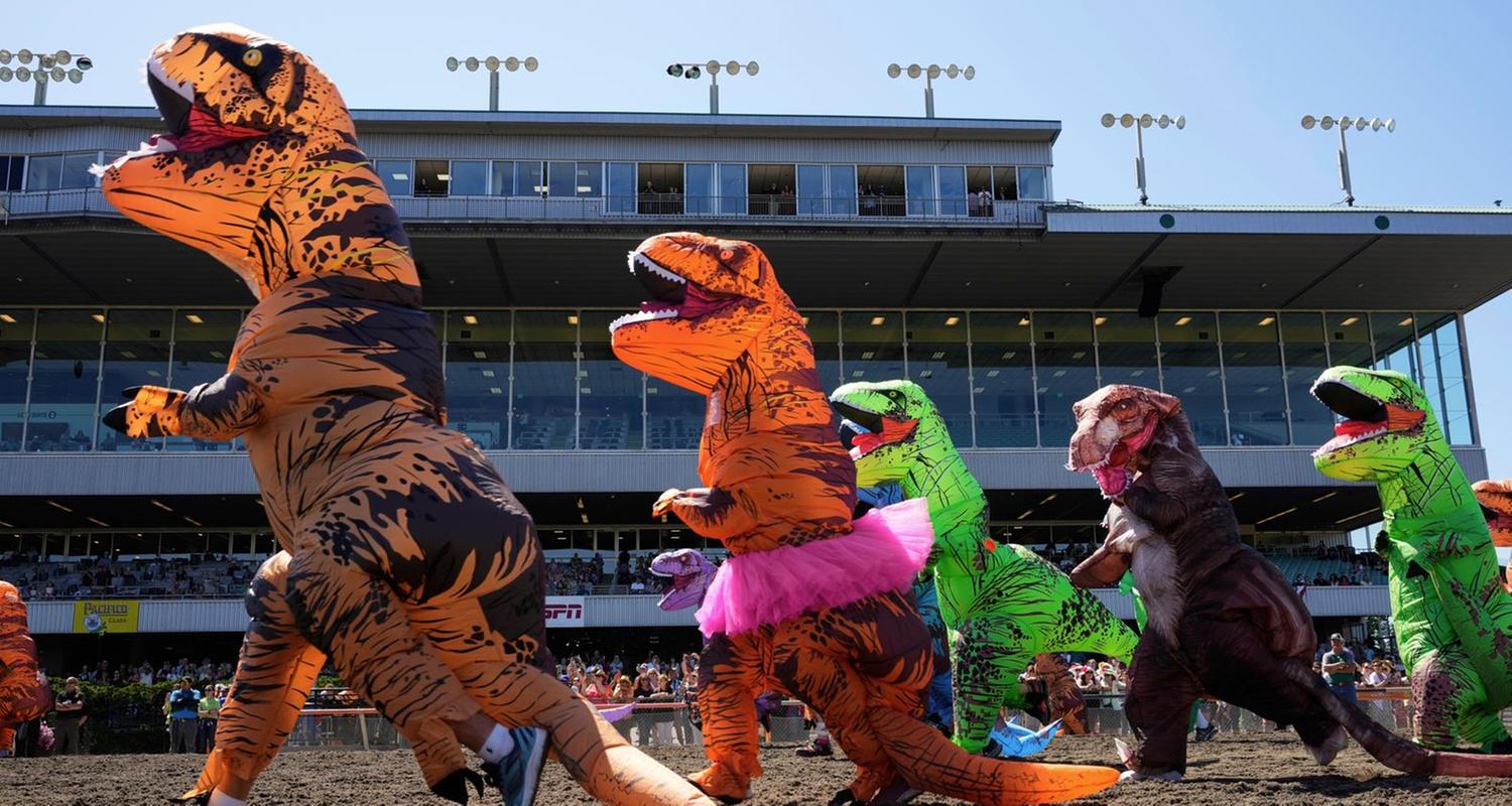 300 Starter bei der T-Rex-Weltmeisterschaft in den USA