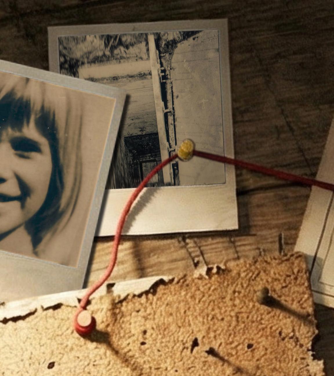 Collage mit Porträtaufnahme von Ursula Herrmann, die leicht nach rechts schaut.