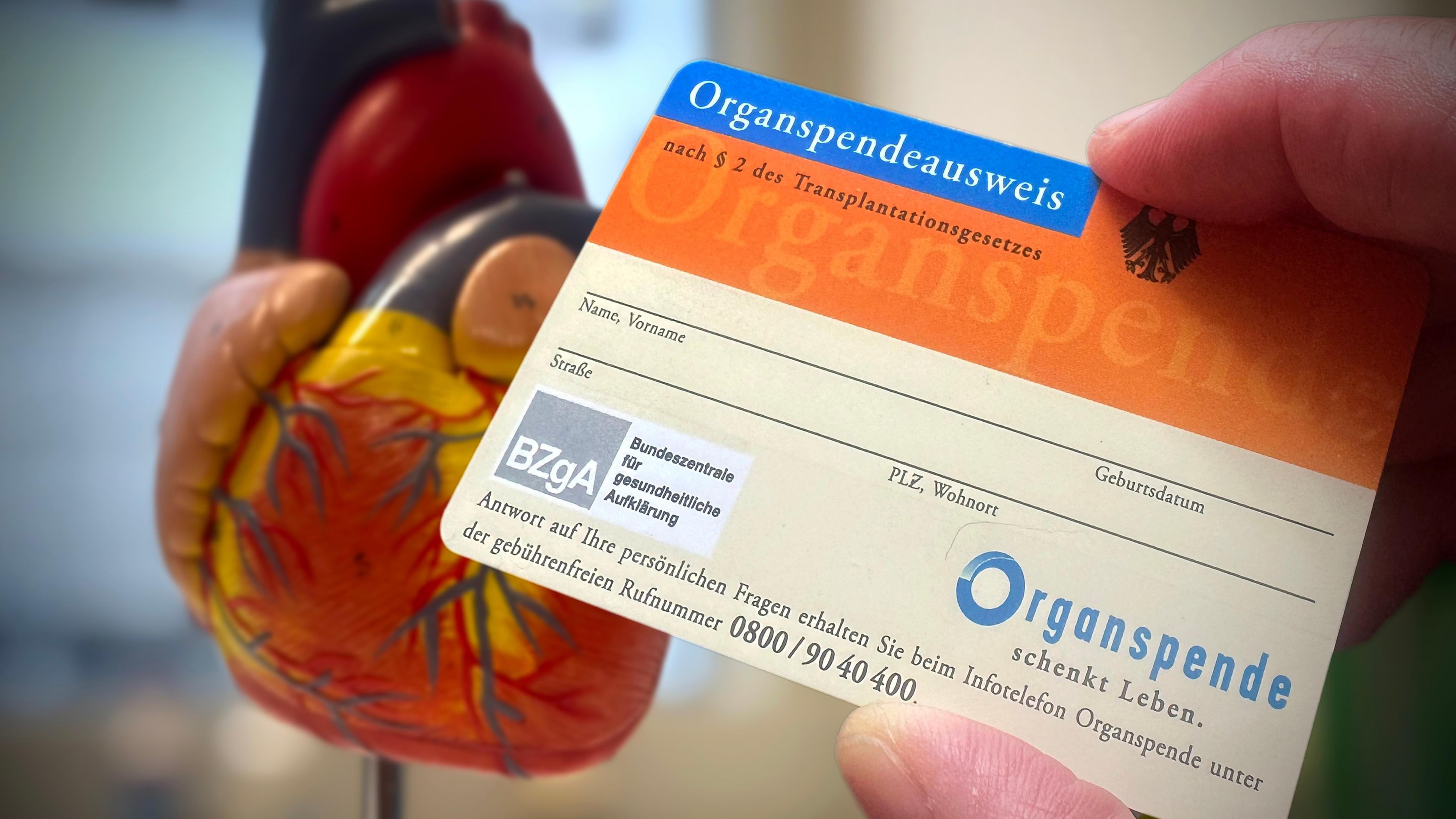 Zu sehen ist ein Organspendeausweis.