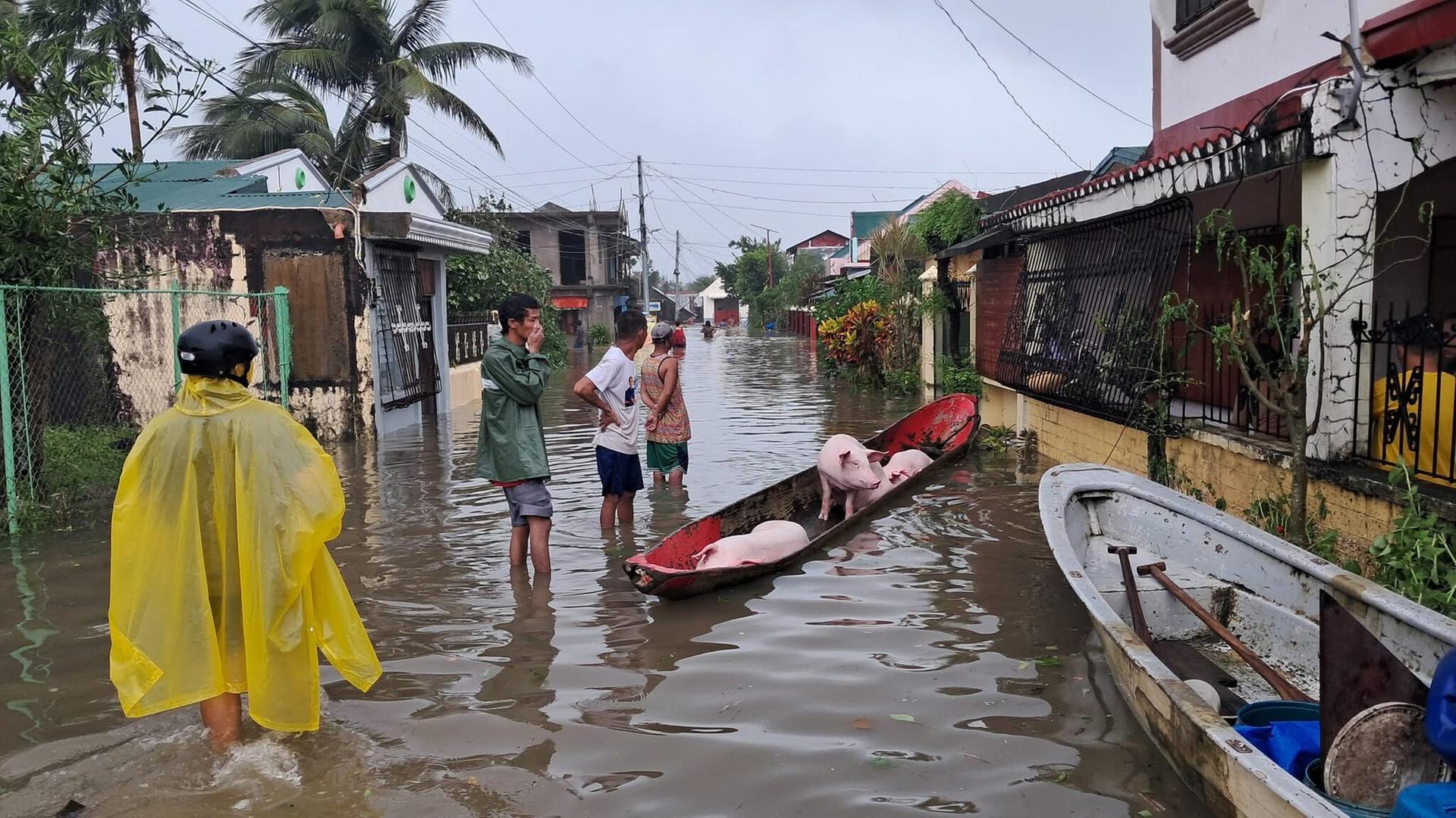 Menschen laufen durch Hochwasser und retten Schweine in einem Boot in der Provinz Catanduanes auf den Philippinen.