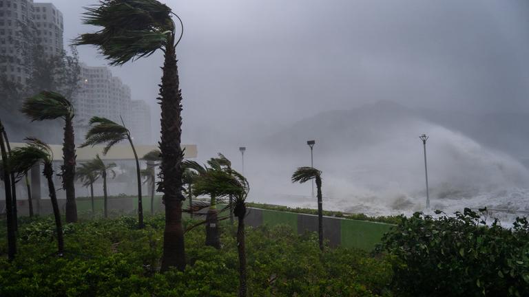 24.09.2025, China, Hongkong: Bäume werden von starken Winden in Heng Fa Chuen umgeweht, als Taifun «Ragasa» vorbeizieht.