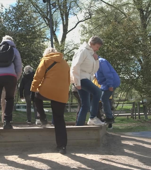 Seniorinnen machen gemeinsam Sport im Freien