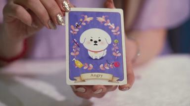 Haustier-Tarot soll Tiere besser verstehen