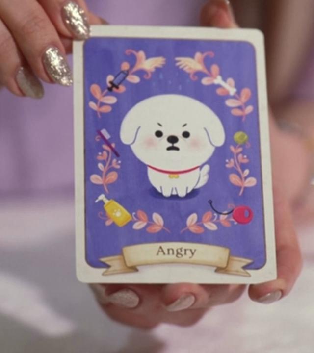 Eine Tarot-Kartenlegerin hält eine Tarot-Karte für Hunde